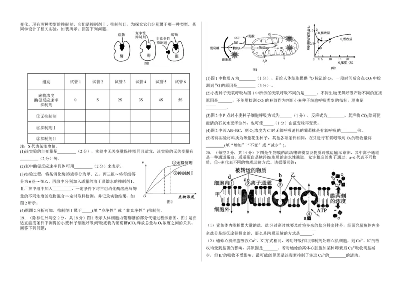 安徽省安庆市怀宁县高河中学2025-2026学年高一上学期12月月考生物试题（含答案）_2024-2025高一（7-7月题库）_2026年1月高一