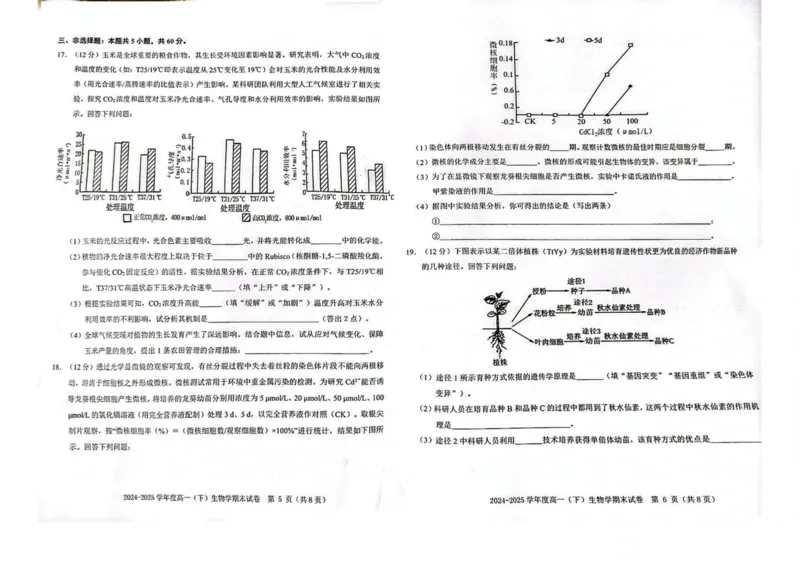 江西省赣州市2024-2025学年高一下学期6月期末考试生物PDF版含答案_2024-2025高一（7-7月题库）_2025年7月_250715江西省赣州市2024-2025学年高一下学期6月期末考试