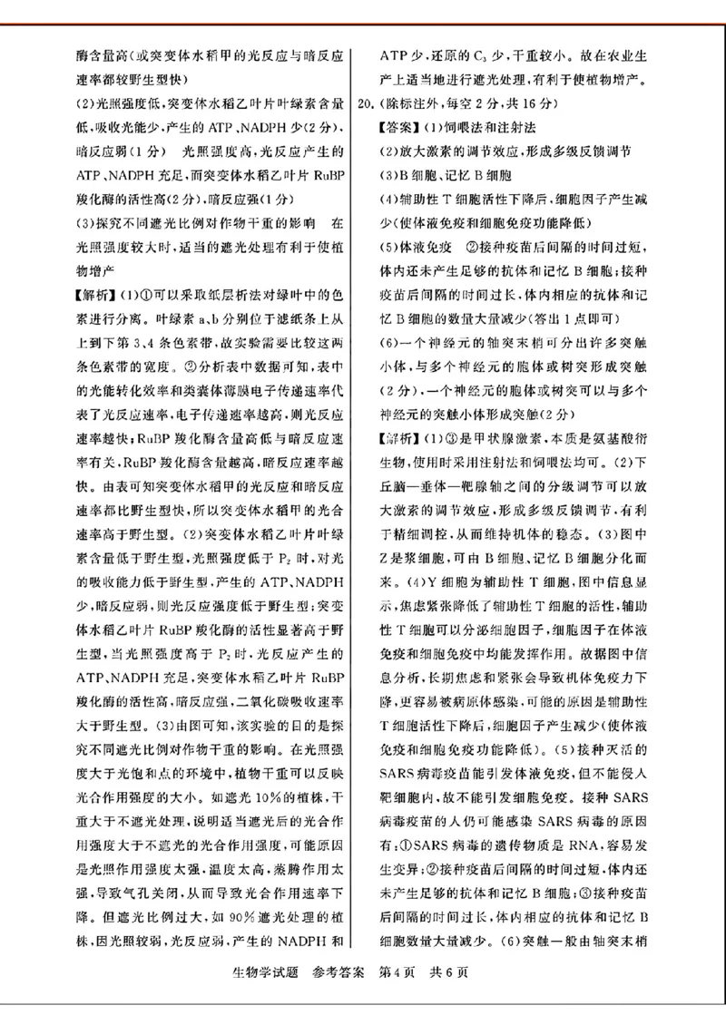 参考答案_2024年3月_013月合集_2024届八省八校T8联考高三第二次学业质量评价_2024届八省八校T8联考高三第二次学业质量评价生物试题