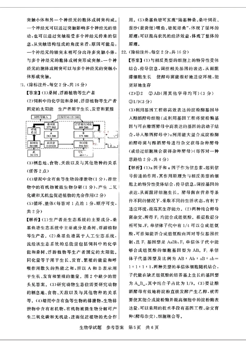 参考答案_2024年3月_013月合集_2024届八省八校T8联考高三第二次学业质量评价_2024届八省八校T8联考高三第二次学业质量评价生物试题