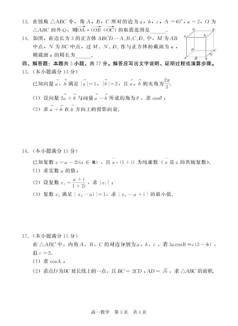 河北省NT20名校联合体2024-2025学年高一下学期4月期中考试数学PDF版含解析_2024-2025高一（7-7月题库）_2025年05月试卷_0522河北省NT20名校联合体2024-2025学年高一下学期4月期中考试