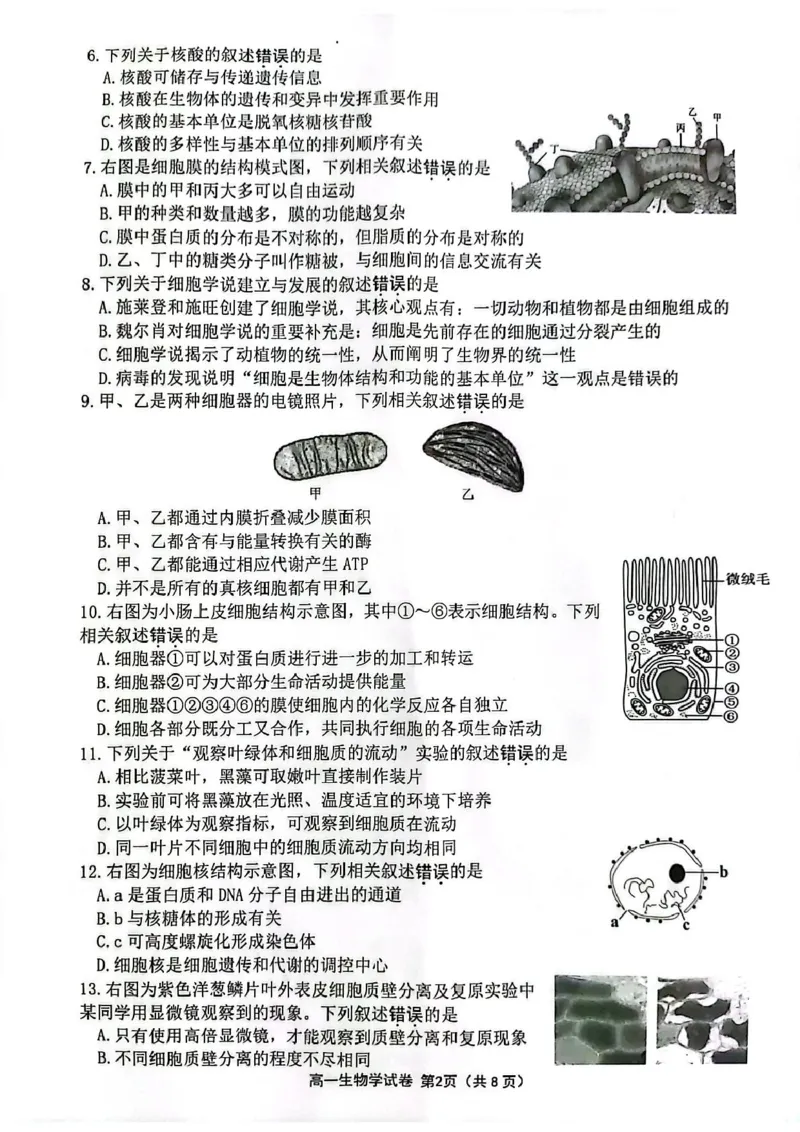 江苏省连云港市2024-2025学年高一上学期期末调研考试生物PDF版含答案_2024-2025高一（7-7月题库）_2025年01月试卷_0124江苏省连云港市2024-2025学年高一上学期期末调研考试