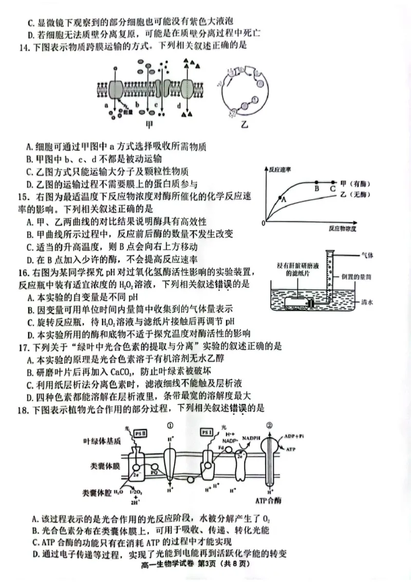 江苏省连云港市2024-2025学年高一上学期期末调研考试生物PDF版含答案_2024-2025高一（7-7月题库）_2025年01月试卷_0124江苏省连云港市2024-2025学年高一上学期期末调研考试