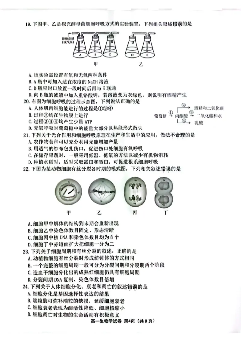 江苏省连云港市2024-2025学年高一上学期期末调研考试生物PDF版含答案_2024-2025高一（7-7月题库）_2025年01月试卷_0124江苏省连云港市2024-2025学年高一上学期期末调研考试