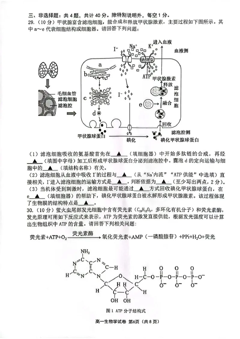 江苏省连云港市2024-2025学年高一上学期期末调研考试生物PDF版含答案_2024-2025高一（7-7月题库）_2025年01月试卷_0124江苏省连云港市2024-2025学年高一上学期期末调研考试