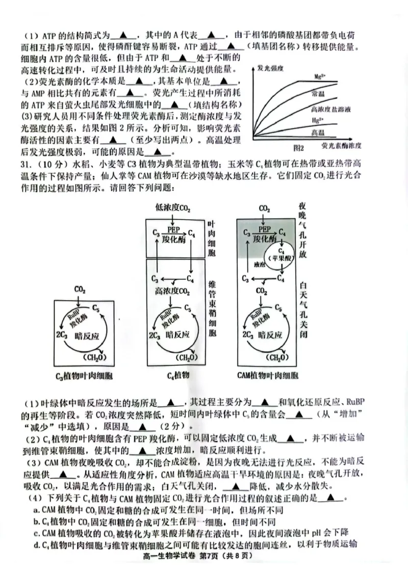 江苏省连云港市2024-2025学年高一上学期期末调研考试生物PDF版含答案_2024-2025高一（7-7月题库）_2025年01月试卷_0124江苏省连云港市2024-2025学年高一上学期期末调研考试