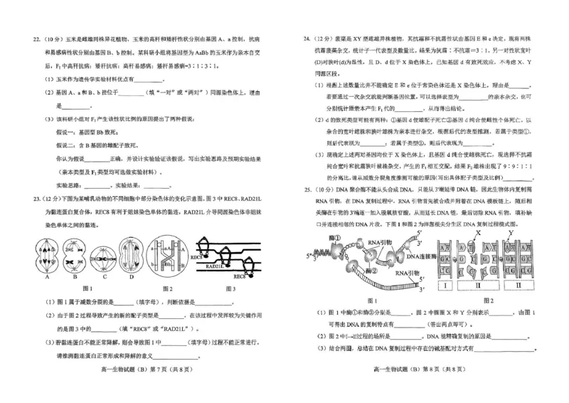 山东省菏泽市2024-2025学年高一下学期4月期中考试生物（B）PDF版含答案_2024-2025高一（7-7月题库）_2025年05月试卷_0530山东省菏泽市2024-2025学年高一下学期4月期中考试