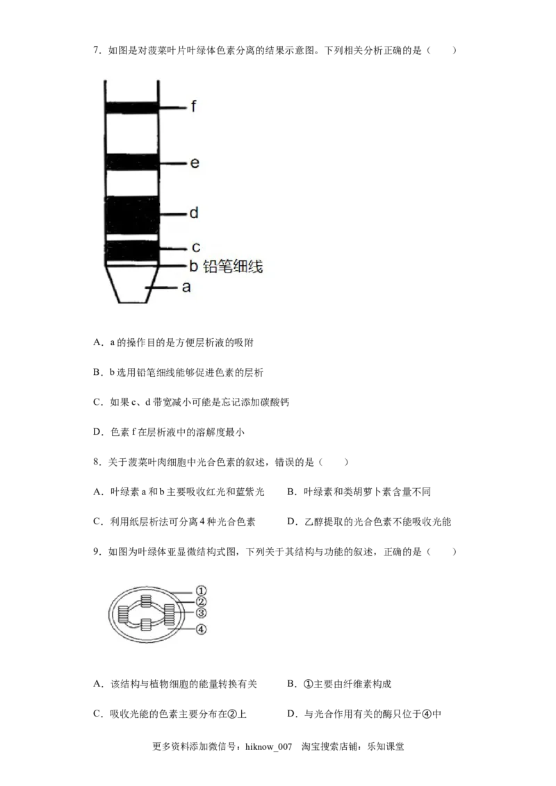 5.4.1捕获光能的色素和结构练习新教材人教版（2019）高中生物必修一_E015高中全科试卷_生物试题_必修1_2.同步练习_4.同步练习（第四套）