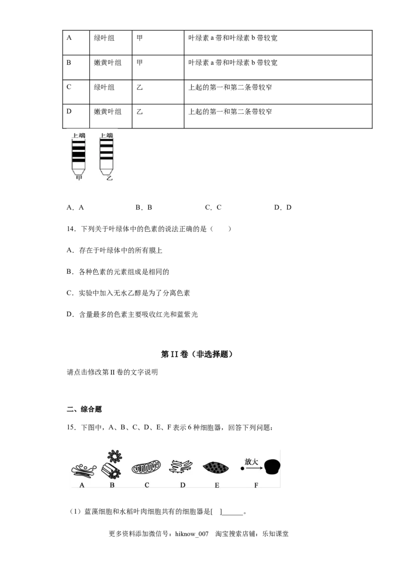 5.4.1捕获光能的色素和结构练习新教材人教版（2019）高中生物必修一_E015高中全科试卷_生物试题_必修1_2.同步练习_4.同步练习（第四套）