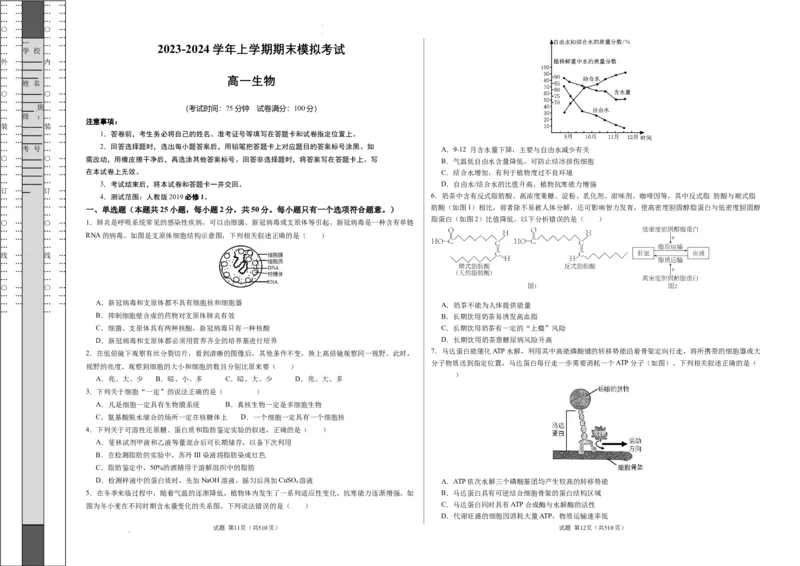 期末模拟卷01（考试版A3版）测试范围：人教版2019必修1_E015高中全科试卷_生物试题_必修1_4.期末试卷_高一生物期末模拟卷01（人教版2019）2023-2024学年高中生物上学期期末模拟考试