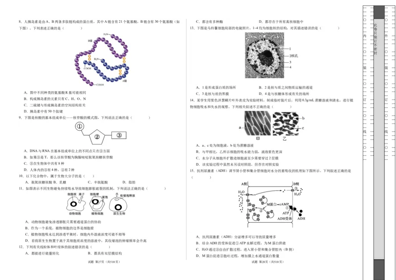 期末模拟卷01（考试版A3版）测试范围：人教版2019必修1_E015高中全科试卷_生物试题_必修1_4.期末试卷_高一生物期末模拟卷01（人教版2019）2023-2024学年高中生物上学期期末模拟考试