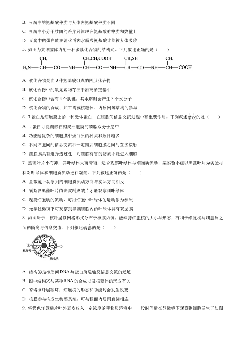 安徽省部分地市2024-2025学年高一下学期开学考试生物学试题（含答案）_2024-2025高一（7-7月题库）_2025年03月试卷_0318安徽省部分地市2024-2025学年高一下学期开学考试