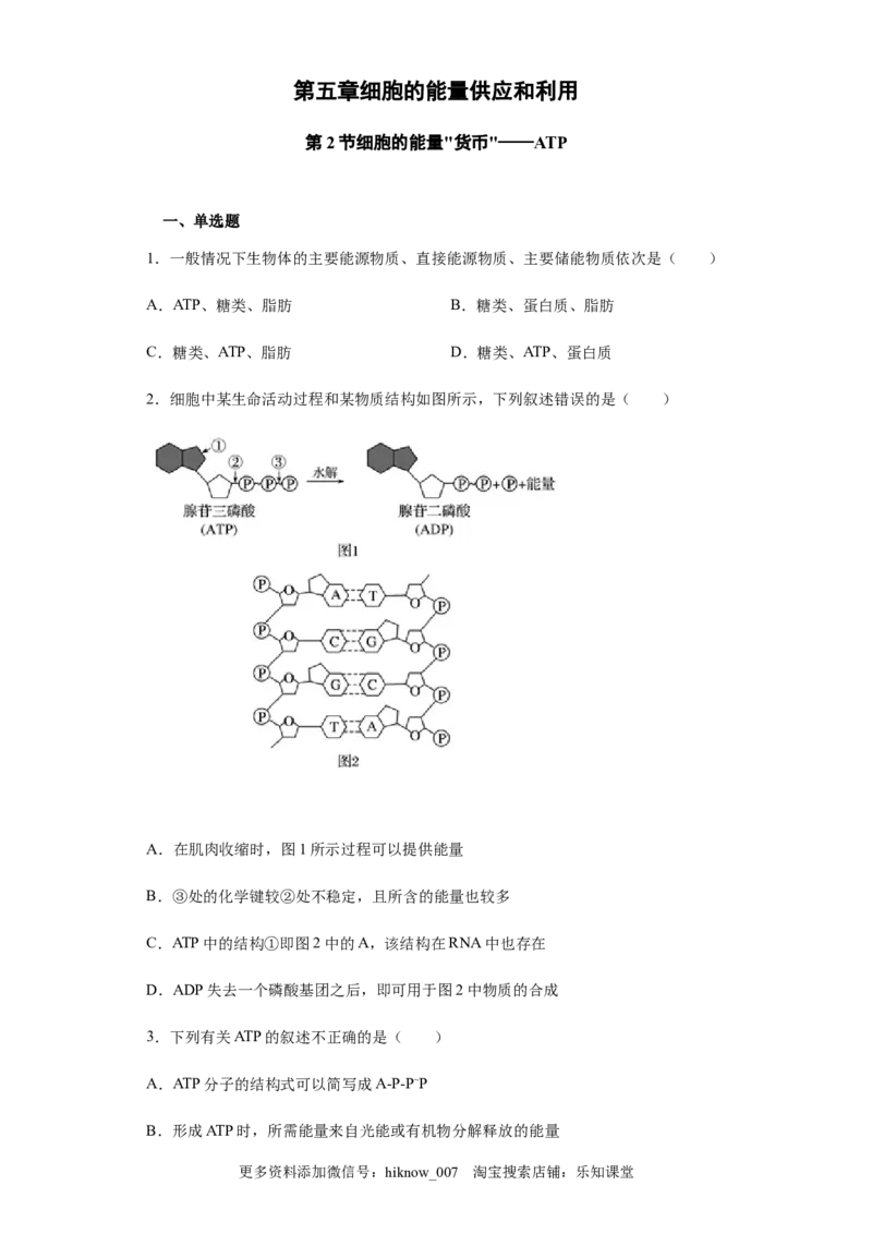 5.2细胞的能量&ldquo;货币&rdquo;&mdash;&mdash;ATP练习新教材人教版（2019）高中生物必修一_E015高中全科试卷_生物试题_必修1_2.同步练习_4.同步练习（第四套）