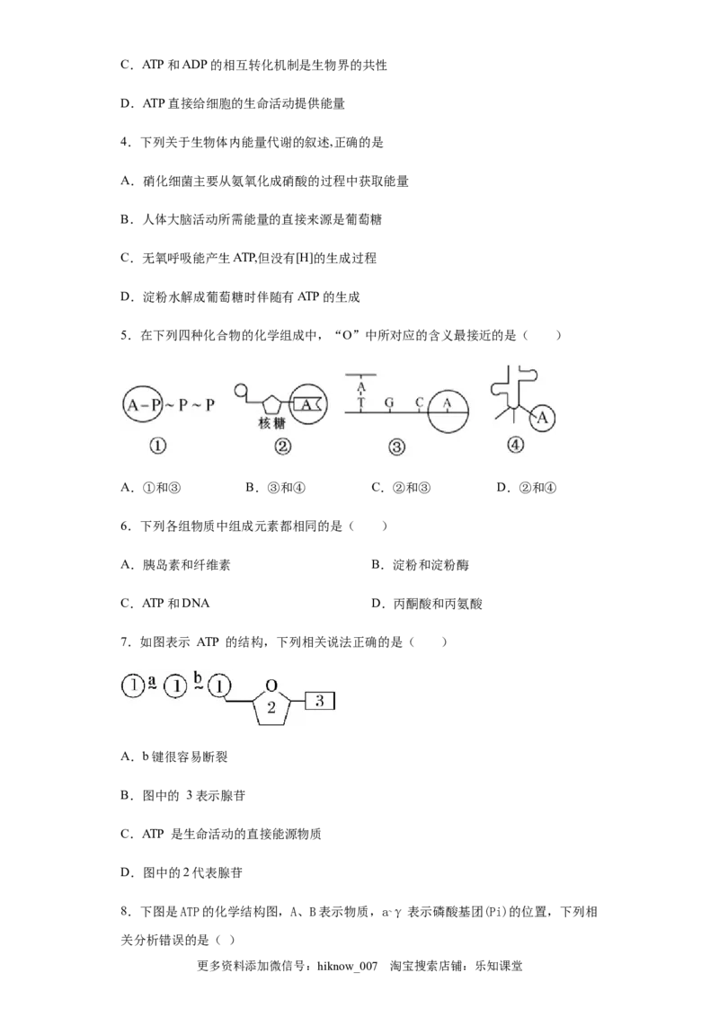 5.2细胞的能量&ldquo;货币&rdquo;&mdash;&mdash;ATP练习新教材人教版（2019）高中生物必修一_E015高中全科试卷_生物试题_必修1_2.同步练习_4.同步练习（第四套）