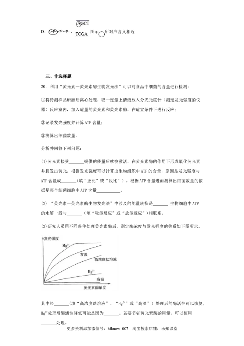 5.2细胞的能量&ldquo;货币&rdquo;&mdash;&mdash;ATP练习新教材人教版（2019）高中生物必修一_E015高中全科试卷_生物试题_必修1_2.同步练习_4.同步练习（第四套）