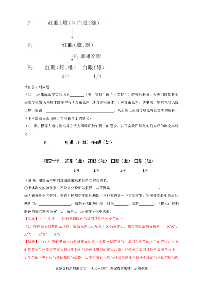 新教材精创2.2基因在染色体上练习（2）（解析版）_E015高中全科试卷_生物试题_必修2_2.同步练习_1、同步练习