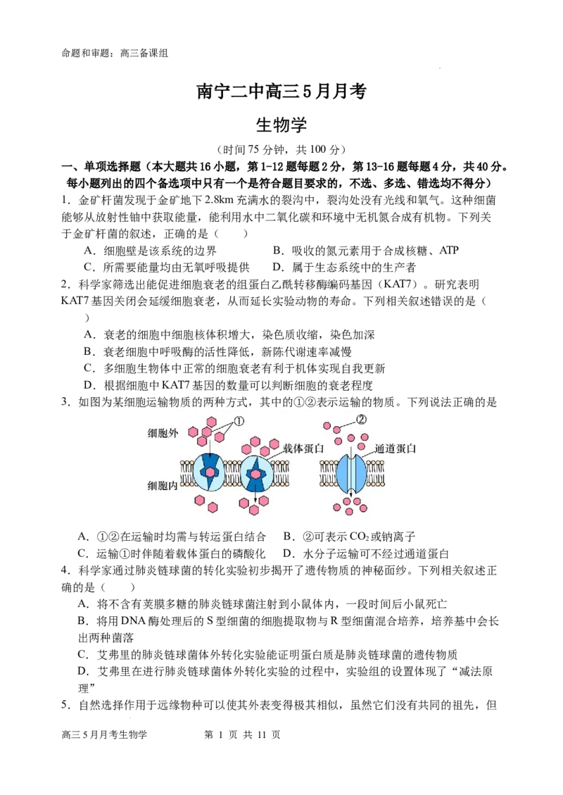 南宁二中高三5月月考试卷生物_2024年5月_01按日期_23号_2024届广西南宁市第二中学高三下学期5月月考_广西南宁市第二中学2023-2024学年高三下学期5月月考生物试题