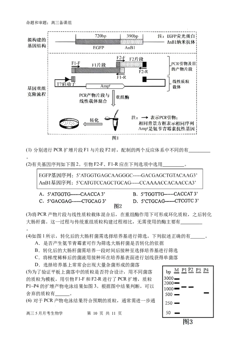 南宁二中高三5月月考试卷生物_2024年5月_01按日期_23号_2024届广西南宁市第二中学高三下学期5月月考_广西南宁市第二中学2023-2024学年高三下学期5月月考生物试题
