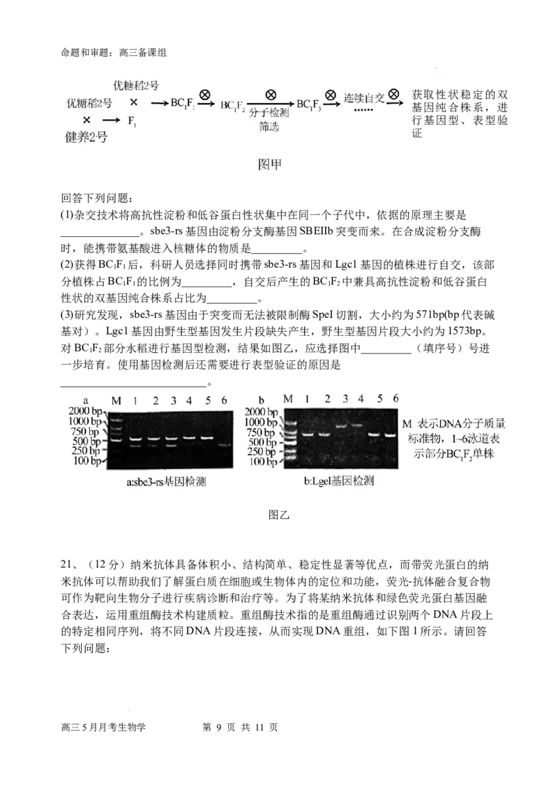 南宁二中高三5月月考试卷生物_2024年5月_01按日期_23号_2024届广西南宁市第二中学高三下学期5月月考_广西南宁市第二中学2023-2024学年高三下学期5月月考生物试题