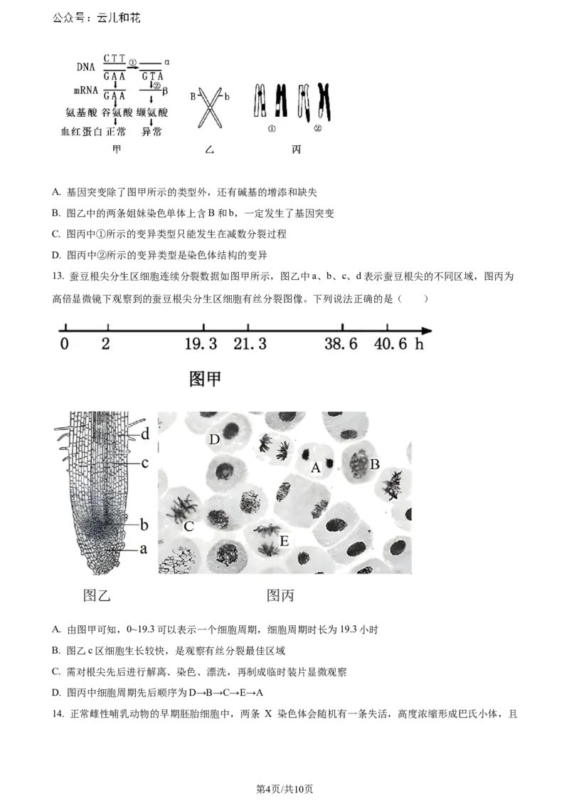 广东省惠州市2023-2024学年高一下学期7月期末生物试题_2024-2025高一（7-7月题库）_2024年8月试卷_0820广东省惠州市2023-2024学年高一下学期期末考试