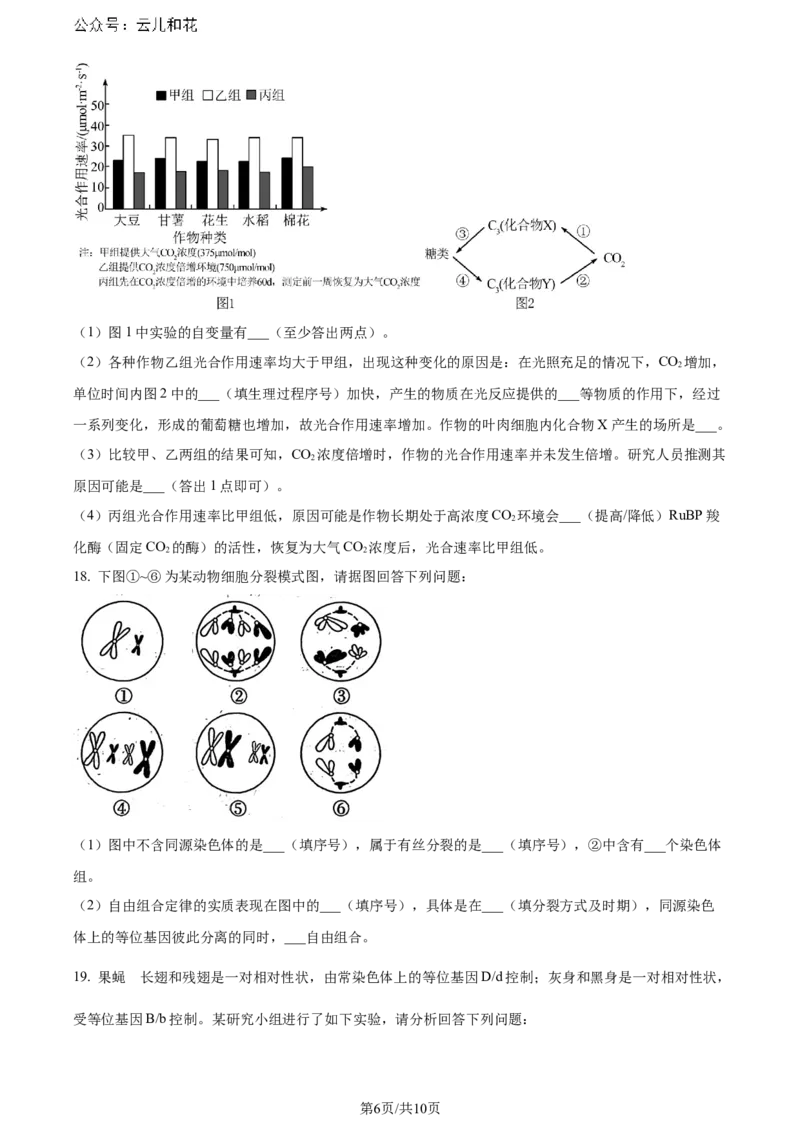 广东省惠州市2023-2024学年高一下学期7月期末生物试题_2024-2025高一（7-7月题库）_2024年8月试卷_0820广东省惠州市2023-2024学年高一下学期期末考试
