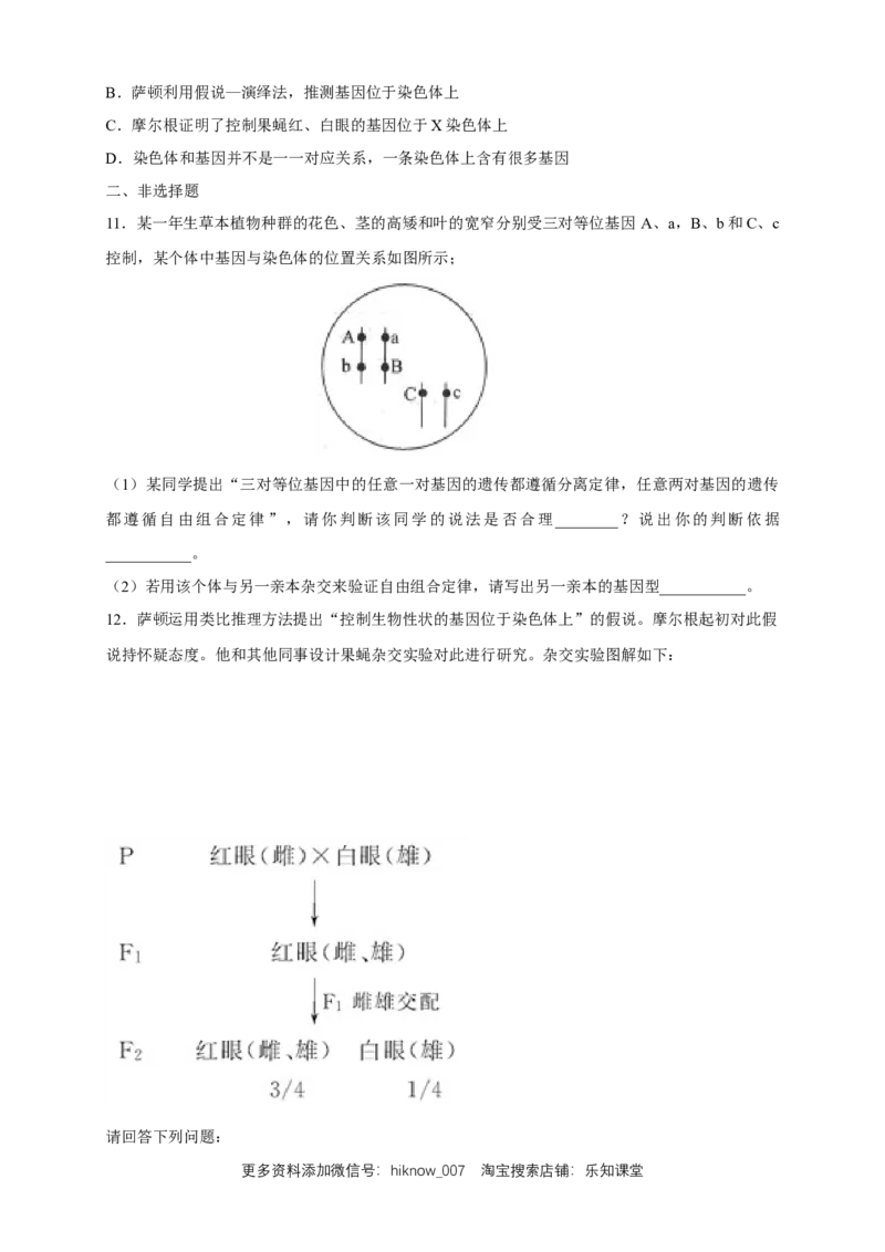 新教材精创2.2基因在染色体上练习（2）（原卷版）_E015高中全科试卷_生物试题_必修2_2.同步练习_1、同步练习