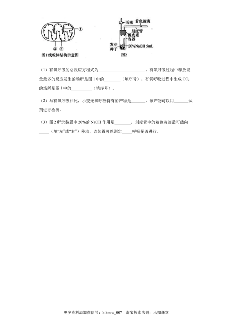5.3细胞呼吸的原理和应用练习新教材人教版（2019）高中生物必修一_E015高中全科试卷_生物试题_必修1_2.同步练习_4.同步练习（第四套）