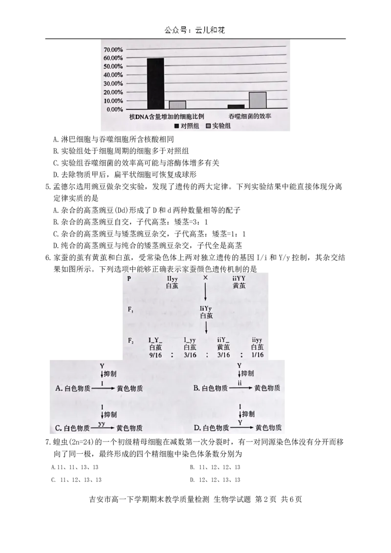 江西省吉安市2023-2024学年高一下学期期末检测生物试题_2024-2025高一（7-7月题库）_2024年8月试卷_0804江西省吉安市2023-2024学年高一下学期期末考试