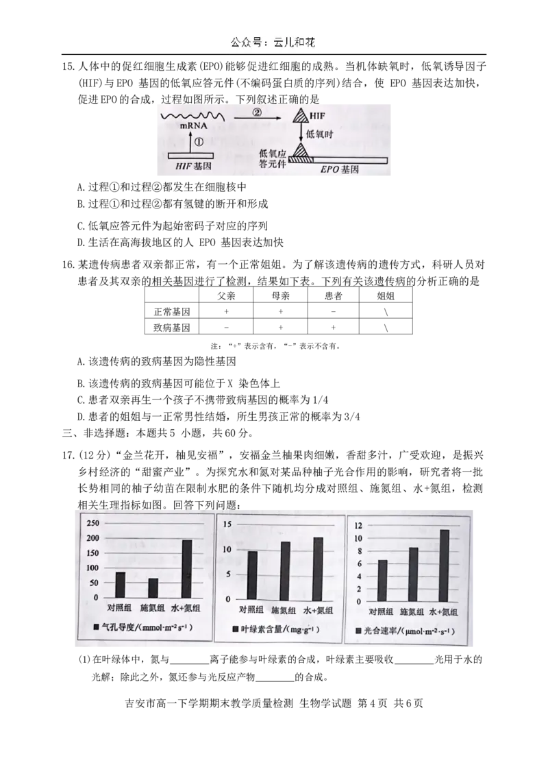 江西省吉安市2023-2024学年高一下学期期末检测生物试题_2024-2025高一（7-7月题库）_2024年8月试卷_0804江西省吉安市2023-2024学年高一下学期期末考试