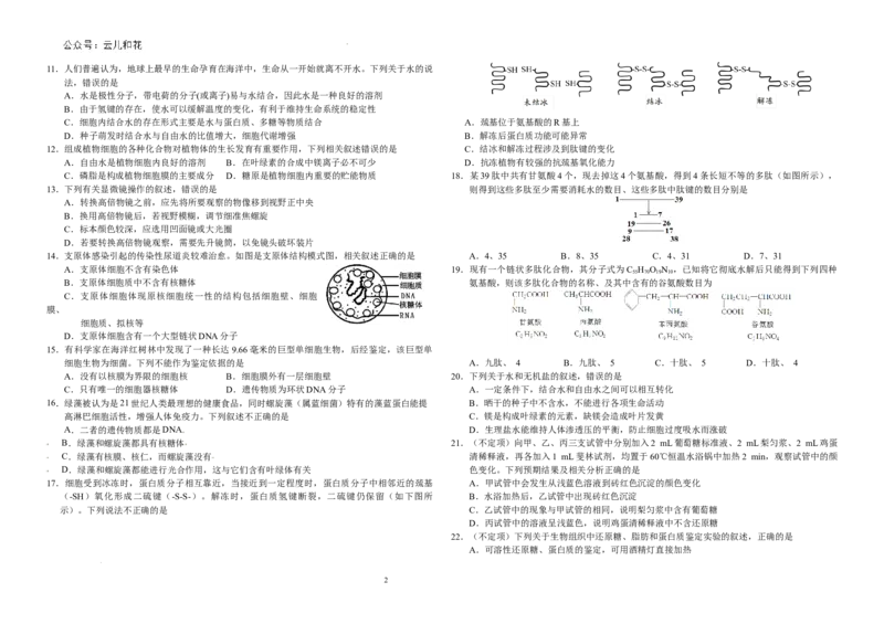 吉林省长春市朝阳区长春外国语学校2024-2025学年高一上学期9月月考生物试题_2024-2025高一（7-7月题库）_2024年10月试卷_1004吉林省长春外国语学校2024-2025学年高一上学期9月月考