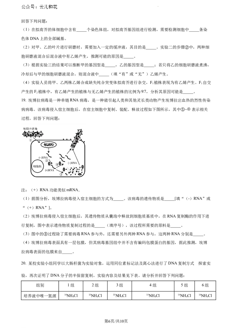 广西南宁市2023-2024学年高一下学期期末考调研测试生物试题_2024-2025高一（7-7月题库）_2024年8月试卷_0813广西南宁市2023-2024学年高一下学期期末考试