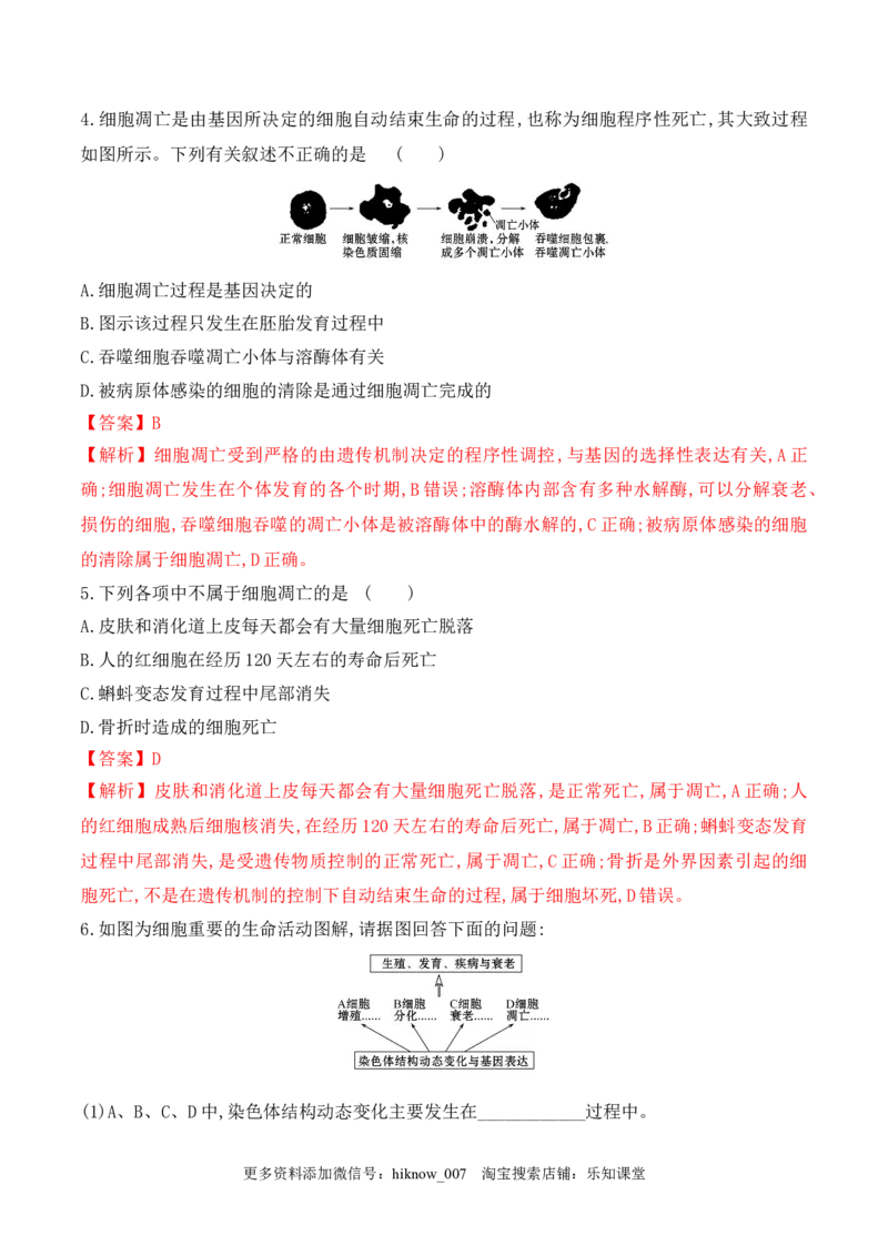 6.3细胞的衰老和死亡-2022-2023学年高一生物上学期课后培优分级练（2019人教版必修1）（解析版）_E015高中全科试卷_生物试题_必修1_2.同步练习_1.同步练习（第一套）