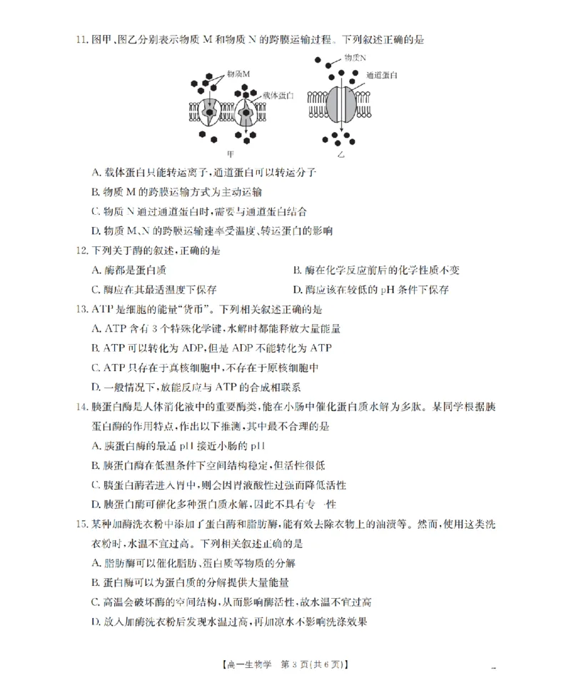 生物学_扫描版_2024-2025高一（7-7月题库）_2026年1月高一_260130金太阳&middot;甘肃省陇南地区2025-2026学年高一上学期阶段性检测（全）