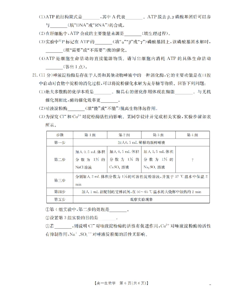生物学_扫描版_2024-2025高一（7-7月题库）_2026年1月高一_260130金太阳&middot;甘肃省陇南地区2025-2026学年高一上学期阶段性检测（全）
