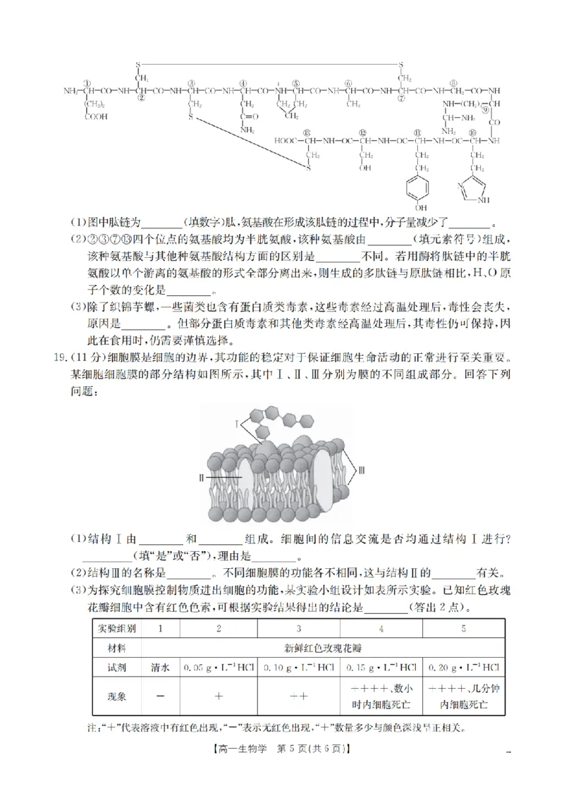 生物_扫描版_2024-2025高一（7-7月题库）_2026年1月高一_260127河南省豫北创新发展联盟2025-2026学年高一上学期第一次质量检测试题（全）