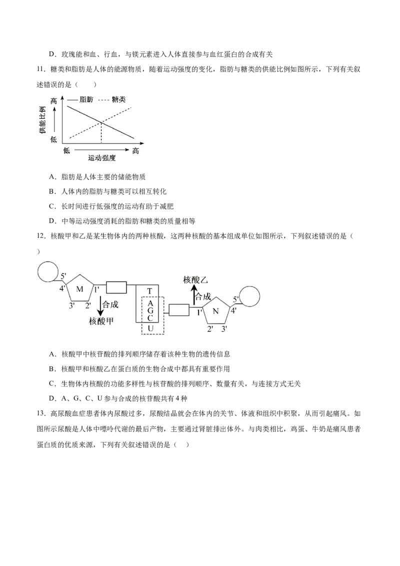 福建省泉州市四校联考2025-2026学年高一上学期11月期中考试生物Word版含答案_2024-2025高一（7-7月题库）_2026年1月高一_260110福建省泉州市四校联考2025-2026学年高一上学期期中考试（全）