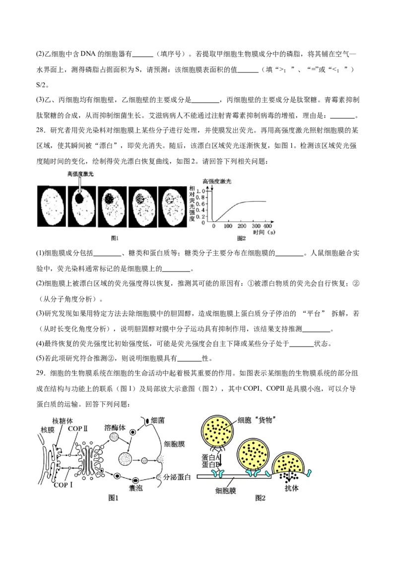 福建省泉州市四校联考2025-2026学年高一上学期11月期中考试生物Word版含答案_2024-2025高一（7-7月题库）_2026年1月高一_260110福建省泉州市四校联考2025-2026学年高一上学期期中考试（全）