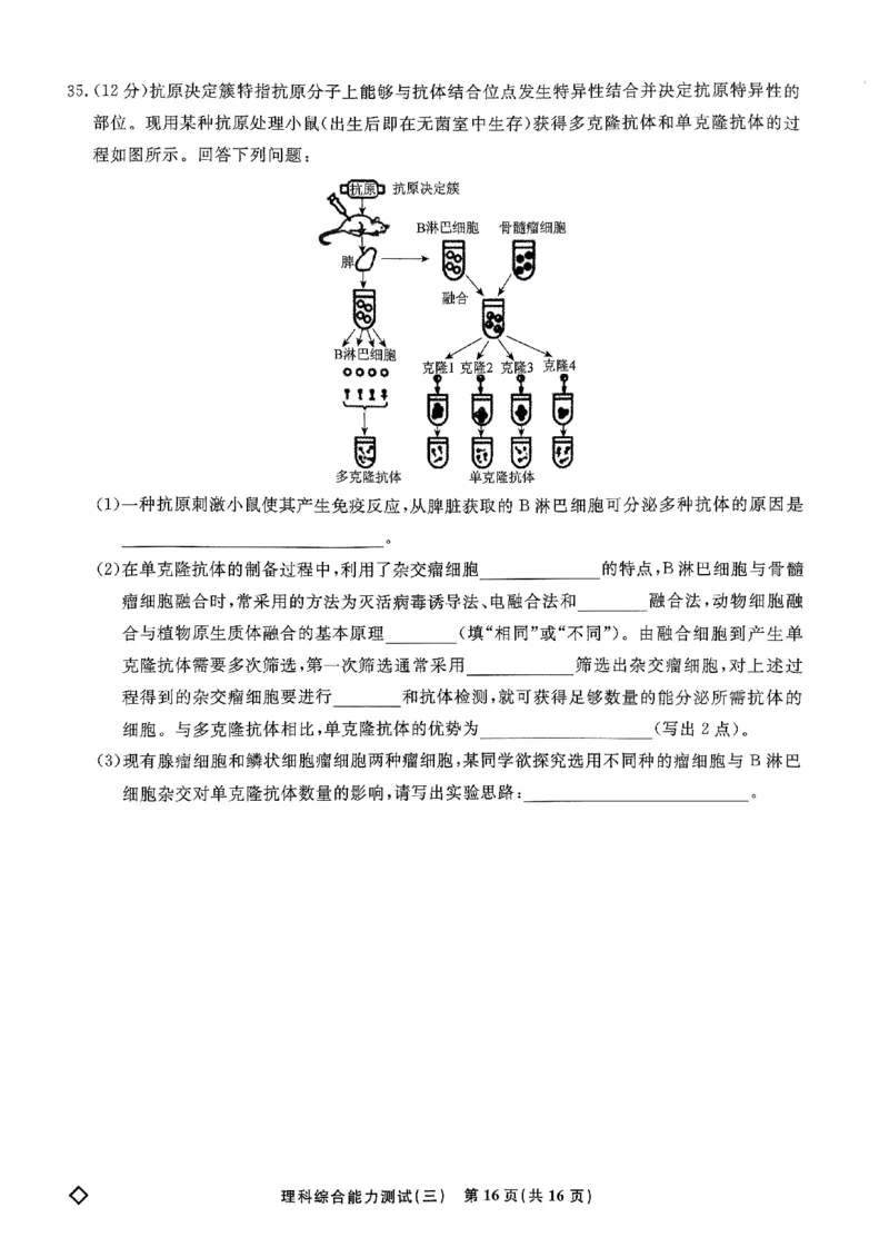 扫描件_理科综合能力测试(三)_2024年5月_01按日期_6号_2024届衡水名师卷&middot;高考模拟压轴卷(三)_衡水名师卷&middot;2023-2024高考模拟压轴卷(三)理科综合试题