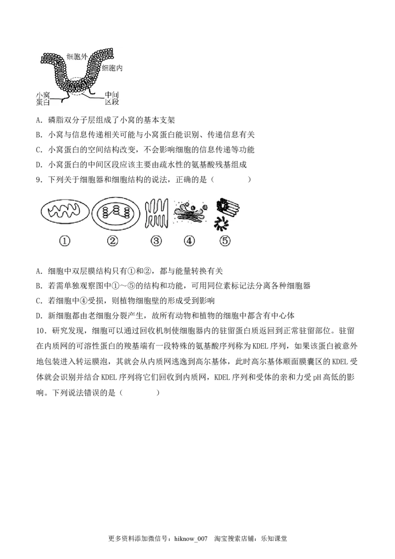 综合拉练卷03（原卷版）_E015高中全科试卷_生物试题_必修1_4.期末试卷_1.模拟题_综合拉练卷03-2022-2023学年上学期高一生物期末考试综合拉练卷（人教版2019必修1）