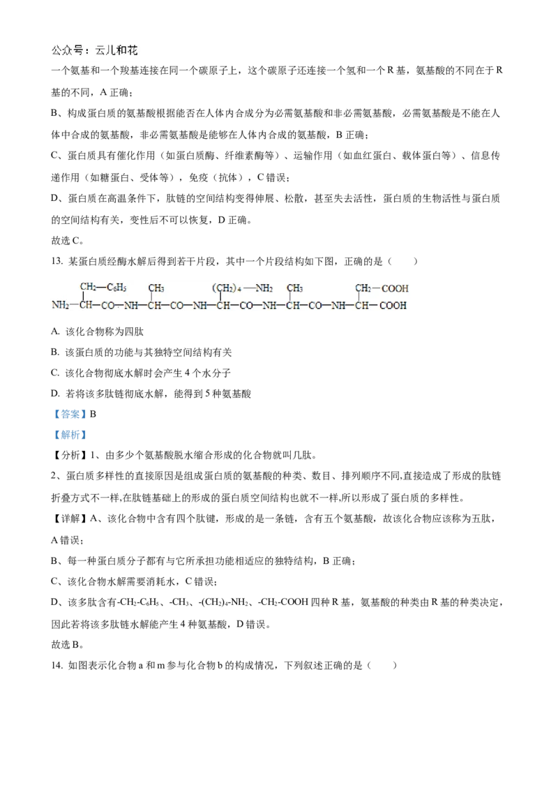 浙江省宁波市三锋联盟2024-2025学年高一上学期11月期中考试生物Word版含解析_2024-2025高一（7-7月题库）_2024年11月试卷_1126浙江省宁波市三锋联盟2024-2025学年高一上学期11月期中考试