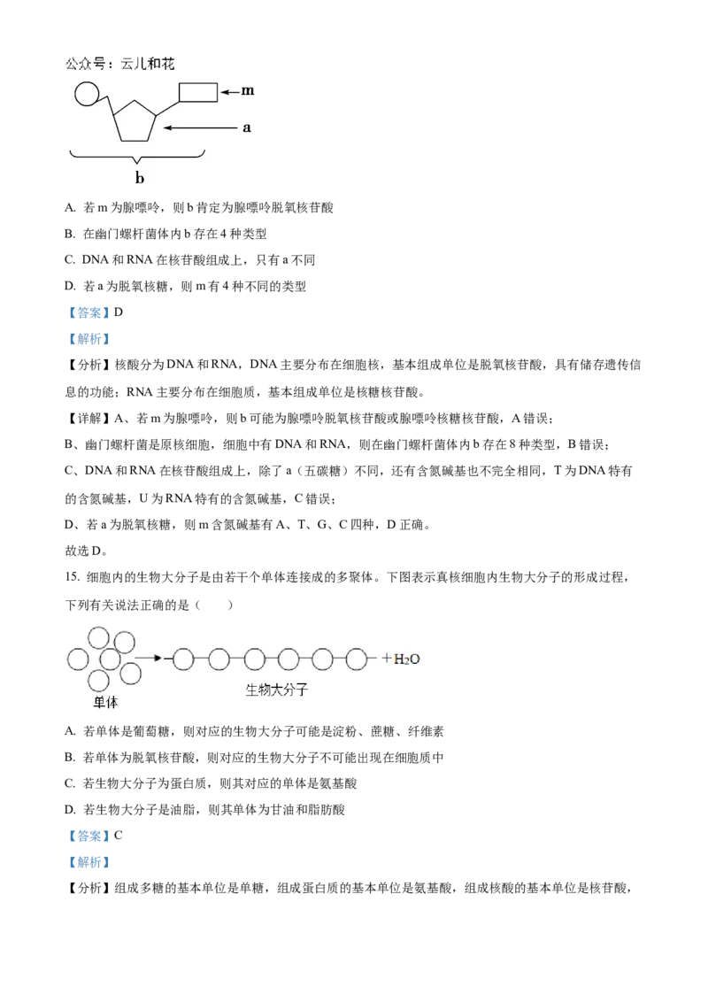 浙江省宁波市三锋联盟2024-2025学年高一上学期11月期中考试生物Word版含解析_2024-2025高一（7-7月题库）_2024年11月试卷_1126浙江省宁波市三锋联盟2024-2025学年高一上学期11月期中考试
