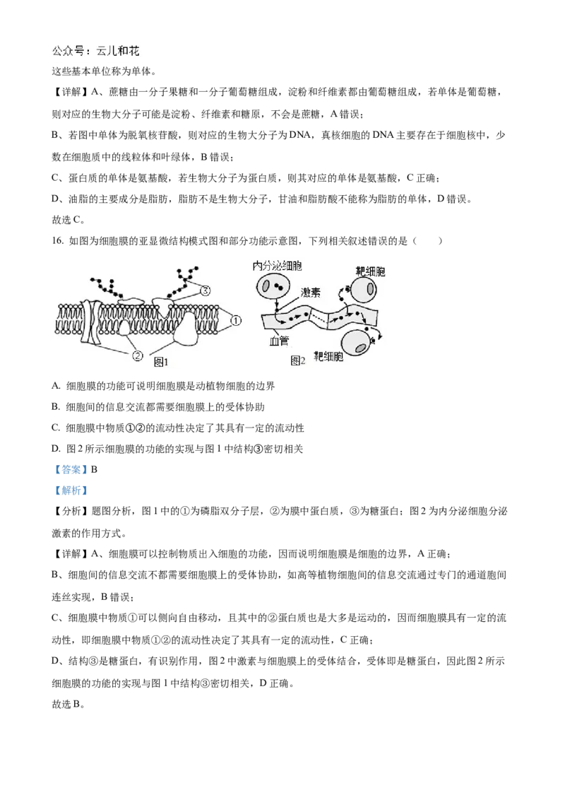 浙江省宁波市三锋联盟2024-2025学年高一上学期11月期中考试生物Word版含解析_2024-2025高一（7-7月题库）_2024年11月试卷_1126浙江省宁波市三锋联盟2024-2025学年高一上学期11月期中考试