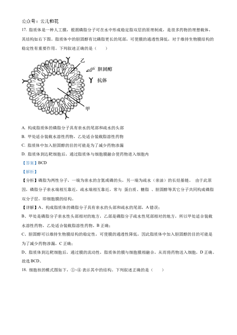 浙江省宁波市三锋联盟2024-2025学年高一上学期11月期中考试生物Word版含解析_2024-2025高一（7-7月题库）_2024年11月试卷_1126浙江省宁波市三锋联盟2024-2025学年高一上学期11月期中考试