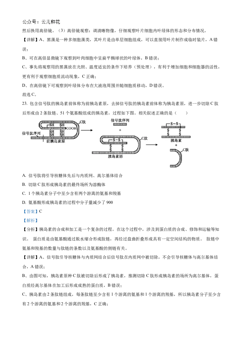 浙江省宁波市三锋联盟2024-2025学年高一上学期11月期中考试生物Word版含解析_2024-2025高一（7-7月题库）_2024年11月试卷_1126浙江省宁波市三锋联盟2024-2025学年高一上学期11月期中考试