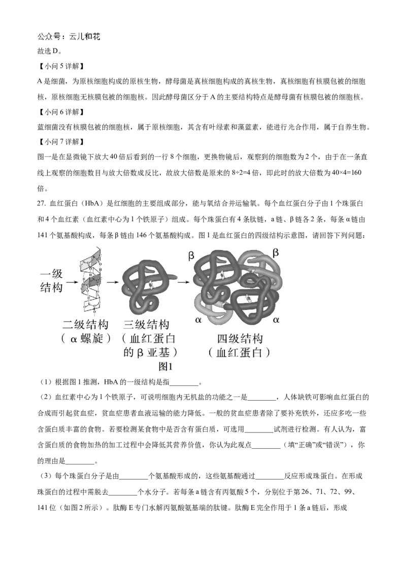 浙江省宁波市三锋联盟2024-2025学年高一上学期11月期中考试生物Word版含解析_2024-2025高一（7-7月题库）_2024年11月试卷_1126浙江省宁波市三锋联盟2024-2025学年高一上学期11月期中考试