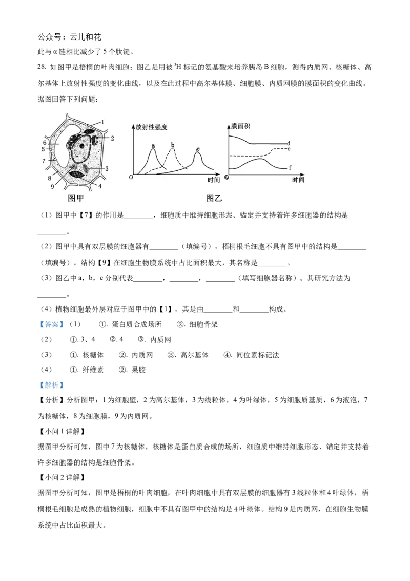 浙江省宁波市三锋联盟2024-2025学年高一上学期11月期中考试生物Word版含解析_2024-2025高一（7-7月题库）_2024年11月试卷_1126浙江省宁波市三锋联盟2024-2025学年高一上学期11月期中考试