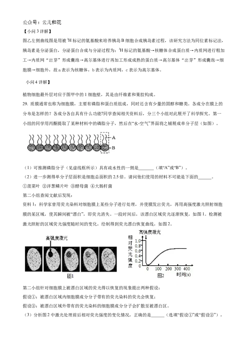 浙江省宁波市三锋联盟2024-2025学年高一上学期11月期中考试生物Word版含解析_2024-2025高一（7-7月题库）_2024年11月试卷_1126浙江省宁波市三锋联盟2024-2025学年高一上学期11月期中考试