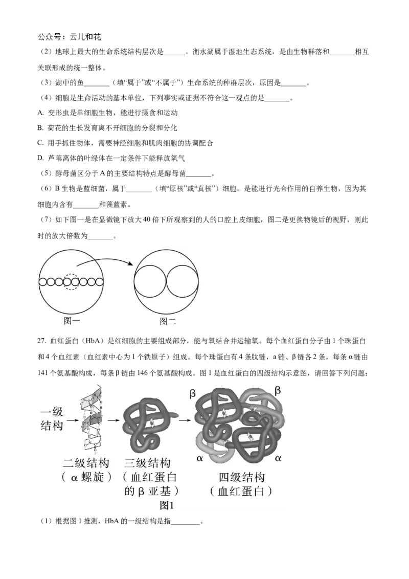 浙江省宁波市三锋联盟2024-2025学年高一上学期11月期中考试生物Word版含解析_2024-2025高一（7-7月题库）_2024年11月试卷_1126浙江省宁波市三锋联盟2024-2025学年高一上学期11月期中考试