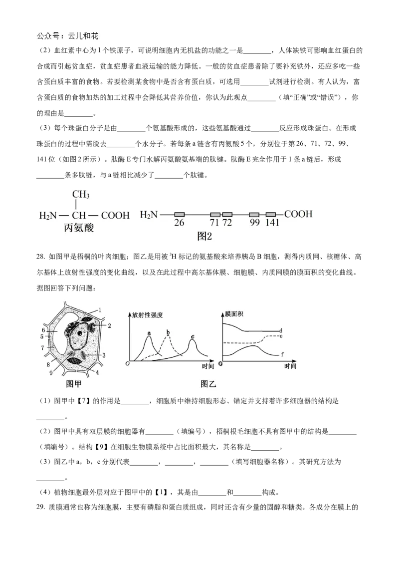 浙江省宁波市三锋联盟2024-2025学年高一上学期11月期中考试生物Word版含解析_2024-2025高一（7-7月题库）_2024年11月试卷_1126浙江省宁波市三锋联盟2024-2025学年高一上学期11月期中考试