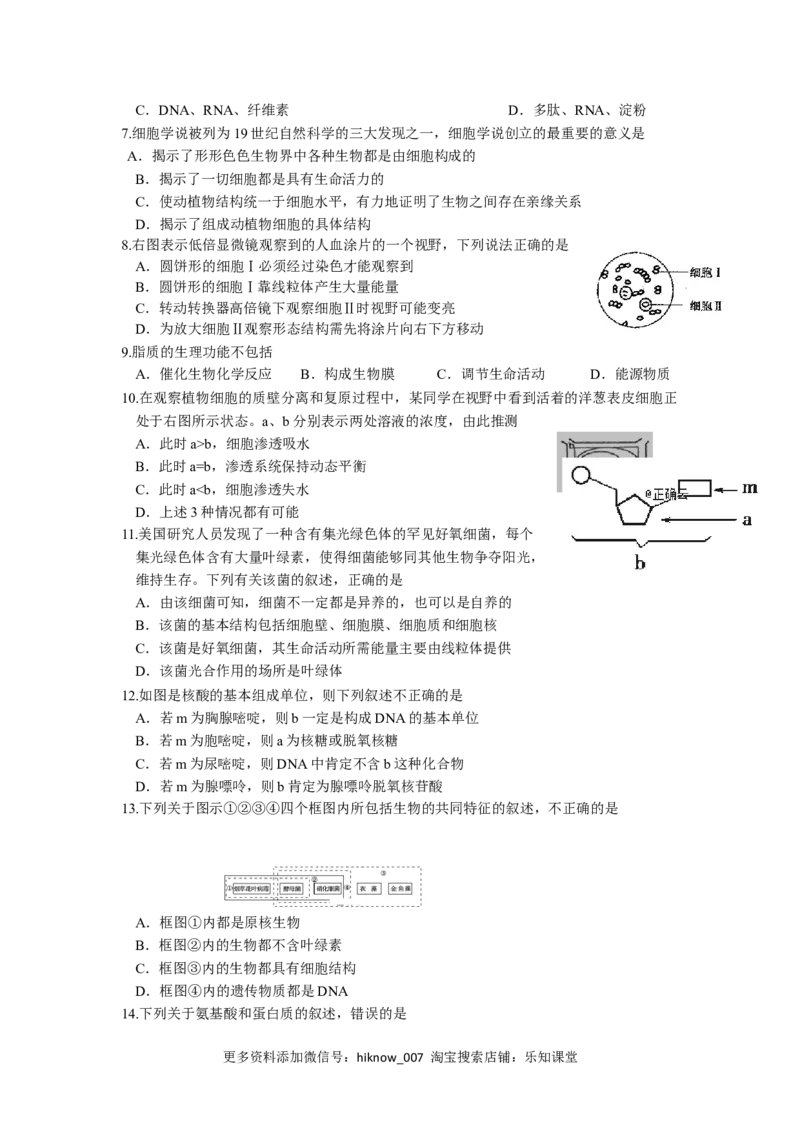 辽宁省实验中学高一上学期期中考试生物试卷_E015高中全科试卷_生物试题_必修1_3.期中测试